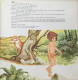 Delcampe - WALT  DISNEY   /  LE LIVRE DE LA JUNGLE - Children