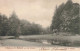 BELGIQUE - Château De Beloeil - Les Daims - Carte Postale Ancienne - Beloeil