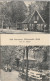 DE133  --  WITTMUNDER WALD  --  HOF HANNOVER  --  Inh. Fr. Maes  --   1908 - Wittmund