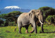 CP  ELEPHANTS ET KILIMANJARO TIMBRES - Kenya