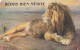 ANIMAUX & FAUNE - Lion - Repos Bien Mérité - Colorisé - Carte Postale Ancienne - Leeuwen