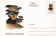A23268  -MUSHROOM  Champignons  "PLEUROTUS OSTREATUS  " Entier Postal,stationery Card  1996  - Champignons
