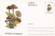 A23271  - MUSHROOM  Champignons  "GALERINA AUTUMNALIS   " Entier Postal,stationery Card  1996  - Champignons