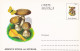 A23277  - MUSHROOM  Champignons  "AMANITA SPISSA VAR EXCELSA    " Entier Postal,stationery Card  1996  - Hongos