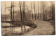 Forêt De Soignes - Les étangs De Rouge-Cloître - Oudergem - Auderghem