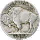 États-Unis, 5 Cents, Buffalo, 1917, Philadelphie, Nickel, TTB+, KM:134 - 1913-1938: Buffalo