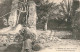 TUNISIE - Déhibat - Le Puits De Chibani Dans L'Oasis - Carte Postale Ancienne - Tunisie