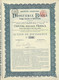 Titre De 1895 - Société Anonyme Drogueria Belga - N° 3752 - Industrie