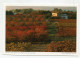 AK 172887 FRANCE - Herbstlandschaft Bei Bonnieux Im Luberon - Bonnieux