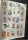 Delcampe - 985+ India Early To Mostly Used Collection Of All Diff. Stamps1988 Mounted In Approval Book Including States Variety See - Colecciones & Series