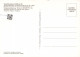 TRANSPORT - Dampflokomotive 39 230 Der DB - Colorisé - Carte Postale - Eisenbahnen