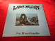 LADY KILLER   JOE HASSELVANDER - Hard Rock En Metal