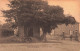 BELGIQUE - Villers-le-Gabon - Chapelle Saint Roch - Carte Postale Ancienne - Philippeville