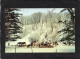 VERMONT, VT - THE MAPLE SUGAR TIME - SUGARING IN VERMONT VACHES Sous La Neige -CPM  Impeccable - Otros & Sin Clasificación