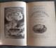 Delcampe - JULES VERNE - Voyages Extraordinaires - Réédition BELLERIVE. Les Enfants Du Capitaine Grant I Et II - Lots De Plusieurs Livres