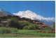 Pakistan Postcard Sent To Switzerland WWF Panda On The Stamp (Rakha Poshi Nagar Height 25500 Clearly Seen From Hunza Pak - Pakistan