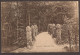 Baarn - Rustieke Brug - 1907 - Uitg. Nauta - Baarn