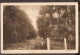 Baarn - Domlaan 1928 - Uitg. Van De Ven - Baarn