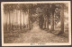 Baarn - Troonlaan - 1929 - Baarn