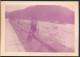 °°° FOTO PHOTO AUSTRIA - IL DANUBIO NEL WACHAUTAL - 1964 °°° - Wachau