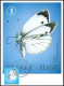 4255° CM/MK ANDENNE- Piéride Du Chou / Koolwitje Postkaart  - SIGNÉE/GETEKEND - Marijke Meersman - FDC: 25-06-2012 - RRR - Zonder Classificatie