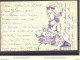 FRANCE CP RICHEMENT DECOREE A LA MAIN AVEC CACHET PERLÉ D'ENTRESSEN DU 19/08/1903 - Standard Postcards & Stamped On Demand (before 1995)