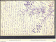 FRANCE CP RICHEMENT DECOREE A LA MAIN AVEC CACHET PERLÉ D'ENTRESSEN DU 02/10/1903 - Standard Postcards & Stamped On Demand (before 1995)