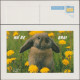 Suède 2003. Entier Postal Vendu Localement, Valable Pour Le Monde. Lapin - Rabbits