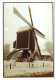 Zittaart - Meerhout - Haanvense Molen - Meerhout