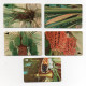 Bahrain Phonecards - Bahrain Palm Trees 5 Cards Complete Set - Batelco -  ND 1997 Used Cards - Bahrain