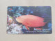 VIETNAM(3MVSE)GPT-Lyretail Grouper-(4)(3MVSE009275)(300.000 Vietnamese Dong)(tirage-10.000)used Card+1card Prepiad - Viêt-Nam