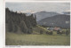 D6704) SCHLADMING - Steiermark - Schladminger Tauern - Blick Von Der Ramsau Nach Süden - Schladming