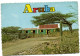 Aruba - Typical Aruban Country Viaw With Cunucuhouse And Divi Divi Tree - Aruba