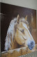 Cheval  Dans Un Box / Peinture à L'huile 60 X 50 Cm - Olieverf