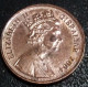 Gibraltar, Elizabeth II, Penny, 2004, SUP, Agouz, - Gibraltar