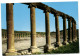 The Forum Of Jerash - Jerash - Jordanie