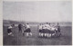 1901 RUGBY - MATCH RACING CLUB DE FRANCE - HARLEQUINS FOOTBALL CLUB - LA VIE AU GRAND AIR - Rugby