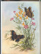 CP : 2 Papillons Dessin Fleurs Et Herbe, Iris Jaune - A - 136 (2 Scans) - Papillons