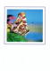 Série 5 Cartes Doubles Papillons Divers - Papillons