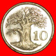 * GREAT BRITAIN (1980-1999): ZIMBABWE  10 CENTS 1994 BAOBAB MINT LUSTRE!· LOW START · NO RESERVE! - Zimbabwe