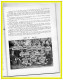 Delcampe - - CAMBORNE R.F.C. CENTENARY PROGRAMME 1878-1978-(92 Pages).(recto Versos) - Rugby