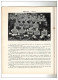 Delcampe - - CAMBORNE R.F.C. CENTENARY PROGRAMME 1878-1978-(92 Pages).(recto Versos) - Rugby