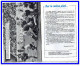 FFR.FRANCE Contre XV Du PRESIDENT Parc Des Princes Programme Officiel Oct.1977.(rectos Verso) - Rugby