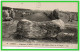 DEUX C.P.A.CARNAC.Alignements1 169 Menhirs-Fin Des Alignements Du Petit Ménec.(rectos Versos) - Dolmen & Menhirs