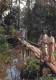 Asian Ethnics Wooden Bridge Crossing Jungle Scene - Azië