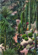 GARDEN, EXOTIC PLANTS, CACTUS, MONACO - Exotische Tuin