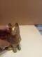 Delcampe - Statuette De Chien Ancienne En Bronze Doré Hauteur 11 Cm - Brons