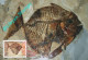 LIBYA 1996 Fossils "Mene Rhombea" Fishes (maximum-card) #1 - Fósiles