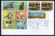 Argentina - 2005/07/08 - 4 Philatelic Envelope - Cats - Diverse Stamps - Lettres & Documents