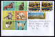 Argentina - 2005/07/08 - 4 Philatelic Envelope - Cats - Diverse Stamps - Brieven En Documenten